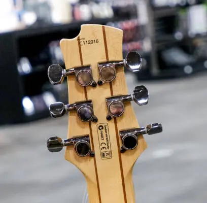 Gain by FGN Deluxe Elan - Tobacco Burst 2